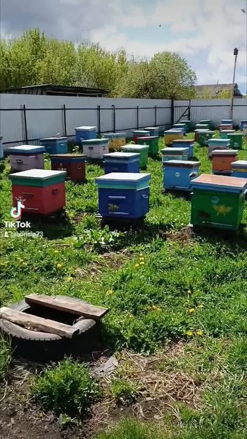 🐝🐝🐝🐝🐝🐝🐝 смотреть онлайн