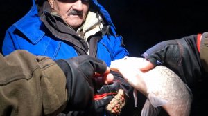 РЫБАЛКА НА 28 КАНАЛЕ п.РИСОВЫЙ СЛАВЯНСКОГО РАЙОНА РАЗВЕДКА НОВОЙ РЫБОЛОВНОЙ ЛОКАЦИИ