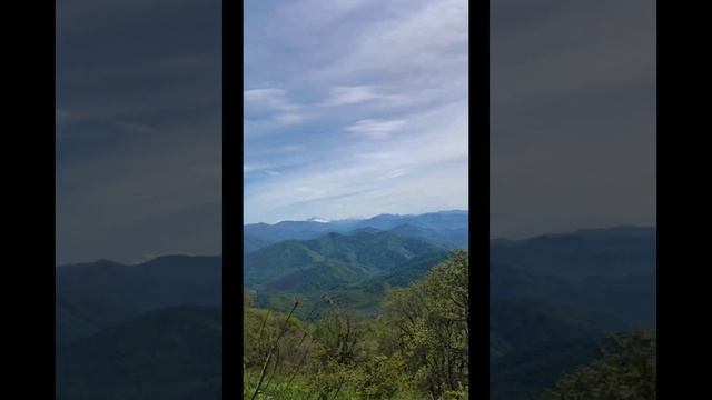 г Пеус 6.05.2023г смотреть онлайн