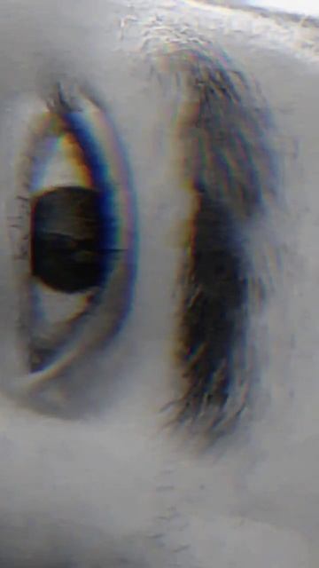 #мир #реп #лайк #инстаграм #лето #music #россия #хипхоп #люб?