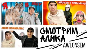 АЛИКОНДРА «СТРАННАЯ СЕМЕЙКА»