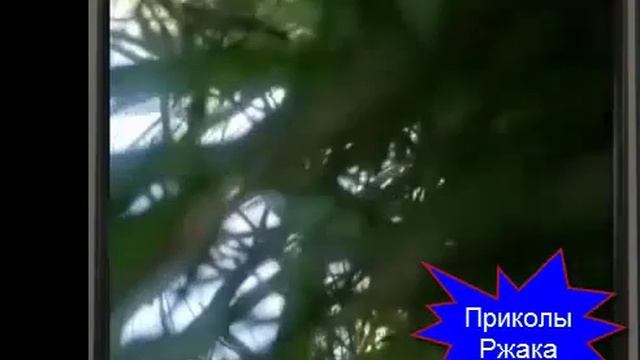 Приколы Ржака, приколы 2014, приколы над людьми, +100500, прикол, юмор, юмор года 2014 смотреть онлайн