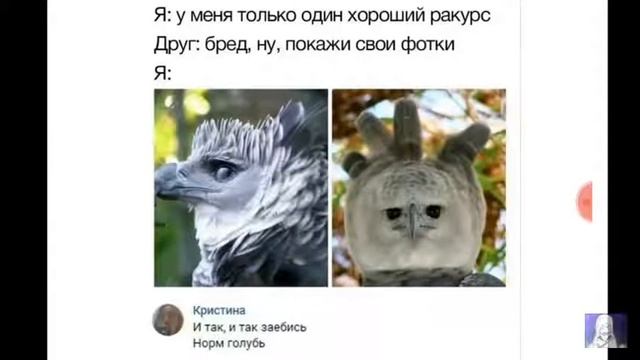 Приколы от maksa смотреть онлайн