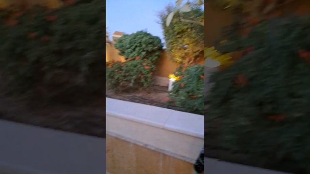 Grand Waterworld Makadi Family Star. Часть 97