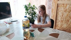 Vlog Сходили в магазин. Купили цветок. Сделали клумбу.