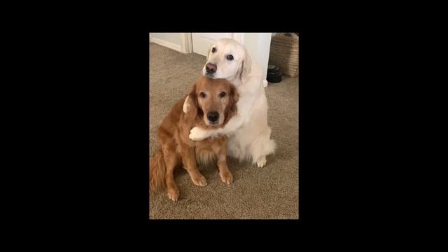 VID_20250501_222122_686.mp4 смотреть онлайн