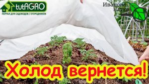 7 СПОСОБОВ СПАСТИ РАССАДУ ОТ ХОЛОДА. Заморозки вернутся! защита всех растений от возвратного холода