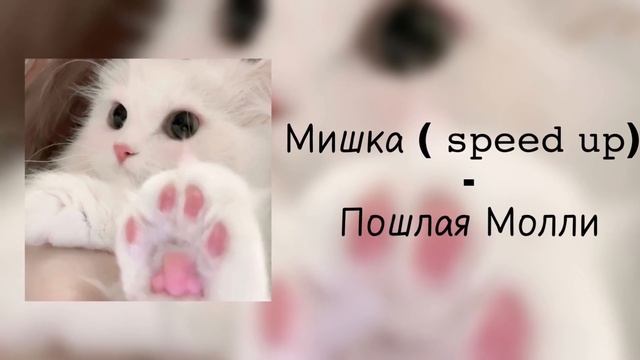 ✩Мишка (𝚜𝚙𝚎𝚎𝚍 𝚞𝚙) - Пошлая Молли✩ смотреть онлайн