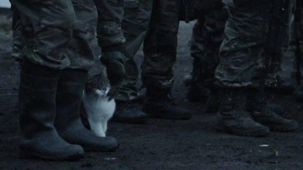 день ЧВК ВАГНЕР #ЧВКВАГНЕР #"WAGNER" Ангел Гнева #wagnergroup #чвквагнера #russia #zov #svo #ЧВК