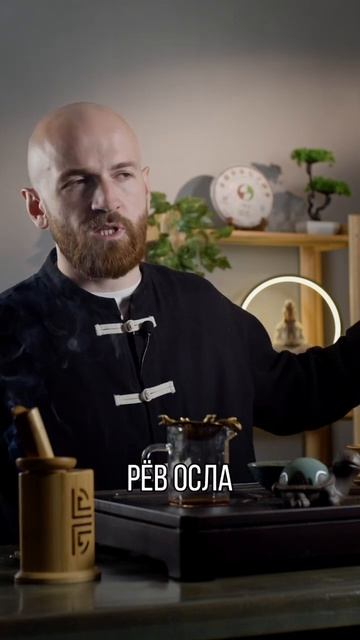 Мудрая притча про осла 📿 #мудрость #философия #китайскийчай #психология #чай #мотивация #цитаты смотреть онлайн