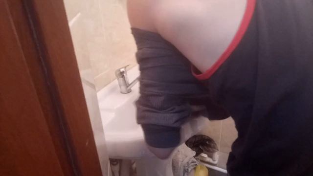 Жопа смотреть онлайн