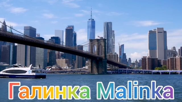 Big Big Family in the USA /Поступила в университет /Нам опять врут /Обзор /Жизнь в Америке /США смотреть онлайн