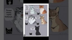Приколы коты воители мемы крч. Часть 1
