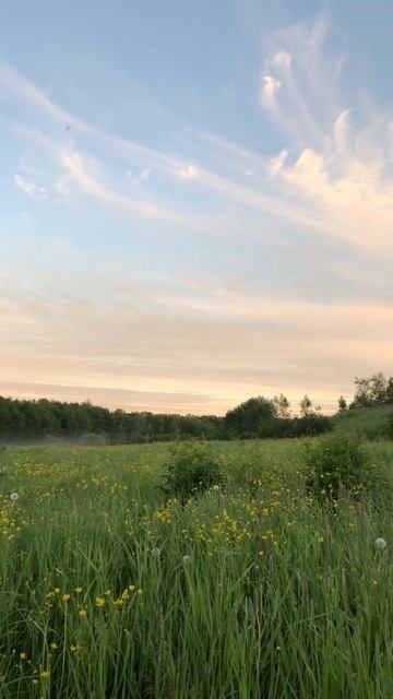 Природа смотреть онлайн