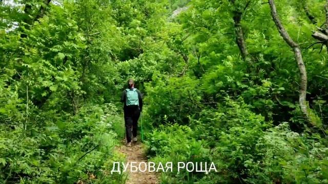 Зашли пешком на гору Машук в Пятигорске по тропе Бернардацци смотреть онлайн