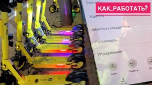 РАБОТА СПЕЦИАЛИСТ ПО ЗАМЕНЕ АКБ НА ЭЛЕКТРОСАМОКАТАХ ЯНДЕКС GO КАК ЗАРЯЖАТЬ САМОКАТЫ В ПРИЛОЖЕНИИ