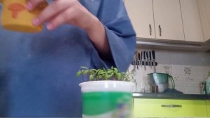 украшаем комнату в стиле гоблин кор |прикольная ваза с 🍄🍄🍄|