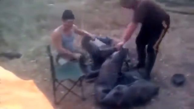 Видео рыбалка бесплатно Приколы на рыбалке 2014 Рыбалка смотреть видео бесплатно Видео рыбалка онла смотреть онлайн
