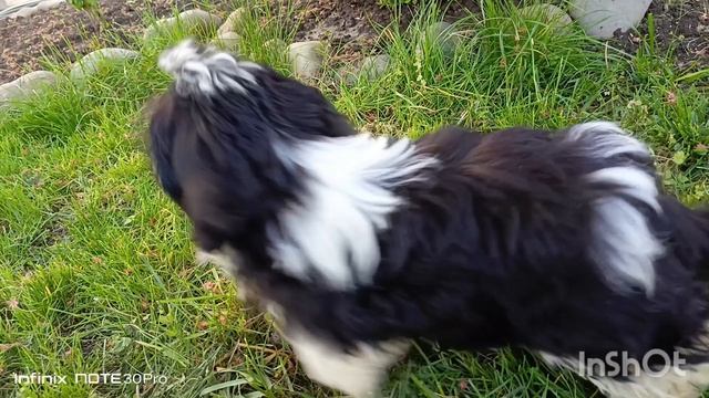 Тесоро Мио Занзибар