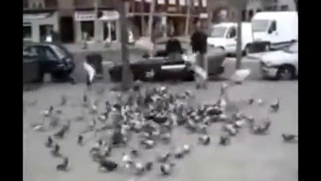 Как Сайрокс ловит голубей!Мортал комбат! Alive Cyrax from Mortal Kombat смотреть онлайн