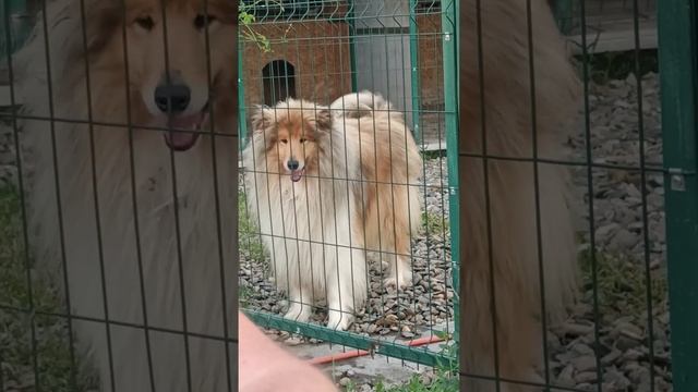 14 июня 2023 г.