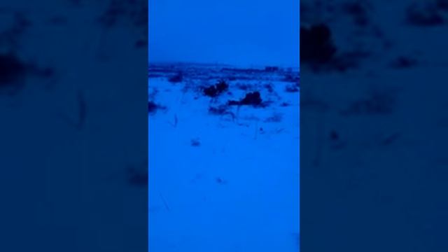бультерьер универсальный солдат смотреть онлайн