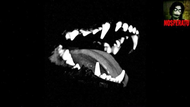 Стая. Страшные истории на ночь 🫣🫣🫣 смотреть онлайн