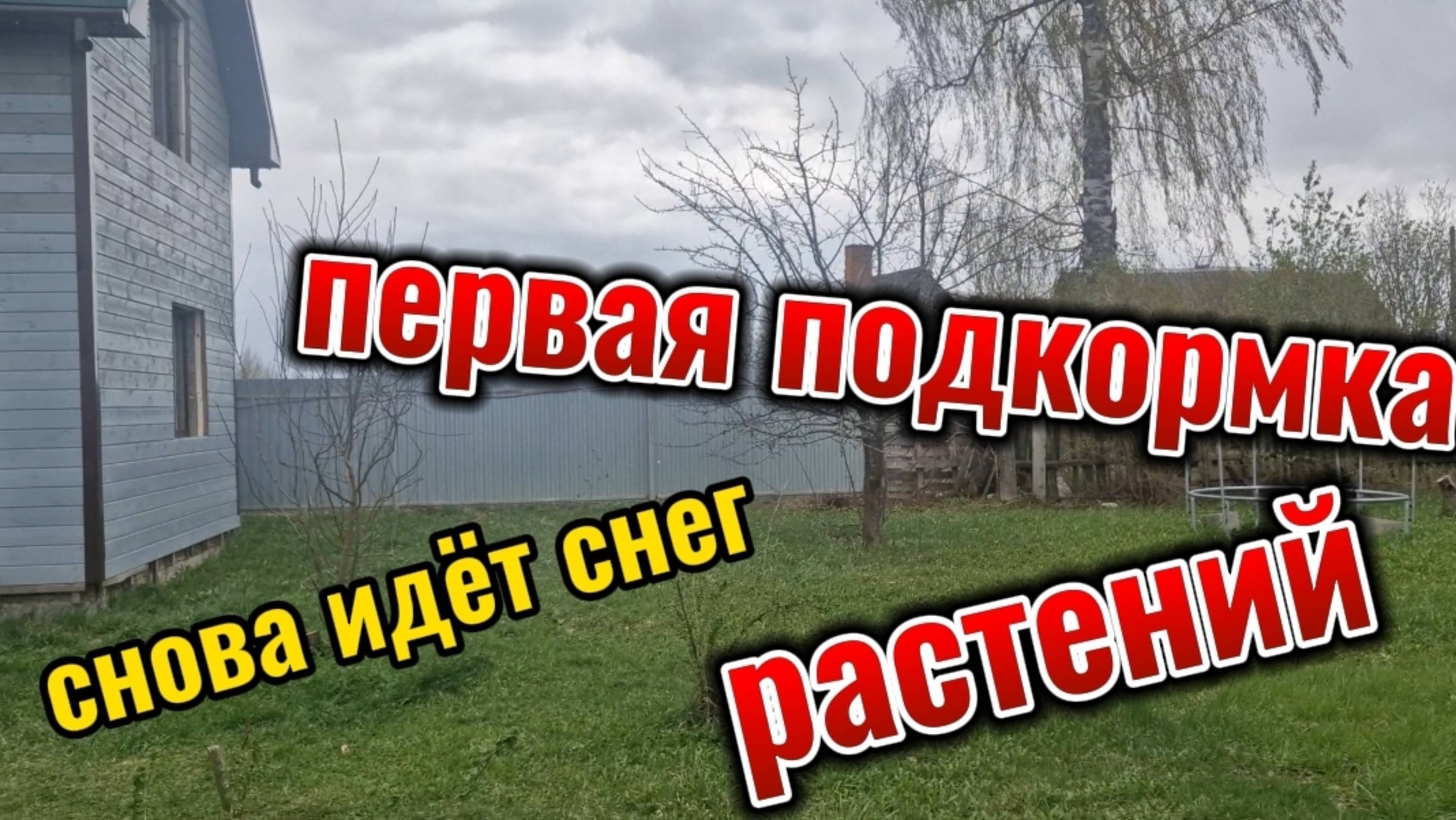 Первая подкормка из сорняка