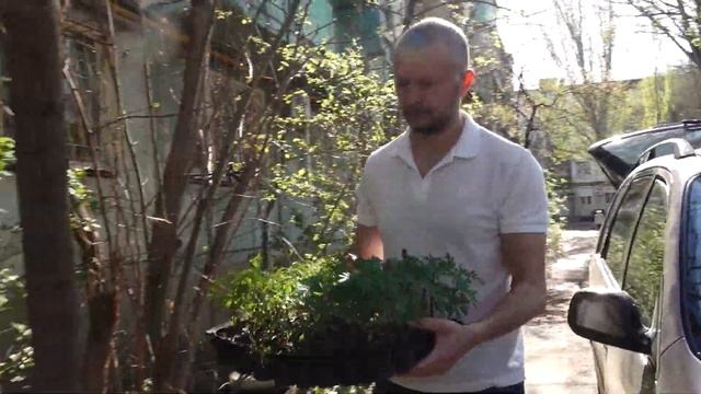 Депутат городской Думы привез астраханцам цветы