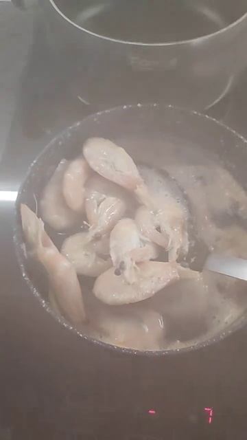 Shrimp🦐 baby/креветули а😉 #shrimp #shrimps #креветки смотреть онлайн