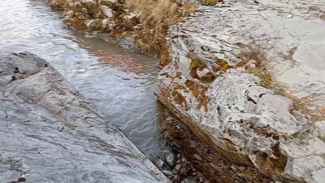 Скалистые берега Катуни♥️Горный Алтай смотреть онлайн