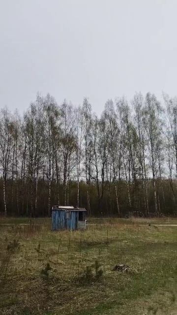 Весь день дул холодный восточный ветер смотреть онлайн