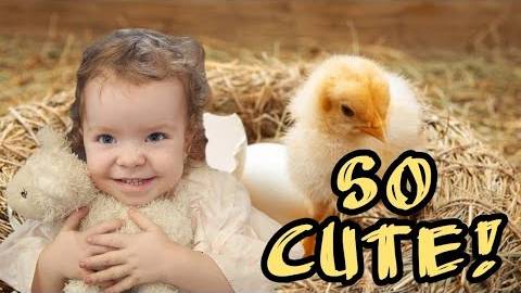 Канадская семья в НН.. IT HAS BEGUN! /это начало! смотреть онлайн