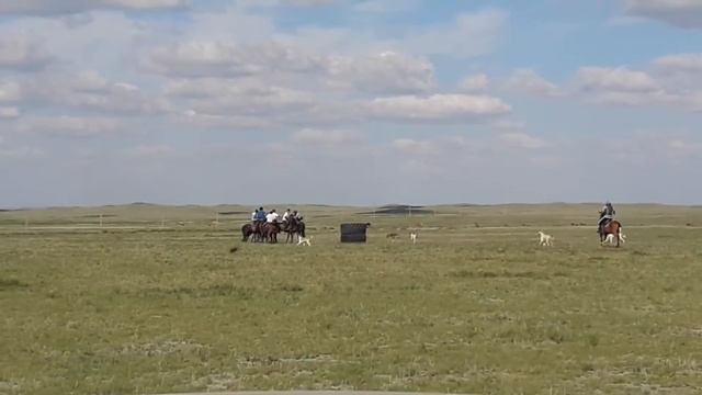 5 августа 2016 г.