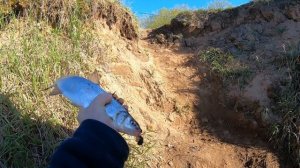 Сырть и отличная рыбалка на реке Луга, Кингисеппский район. #рыбалка #лето #сезон #сырть #рецепты