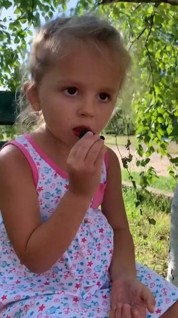 Кто любит ежевику- присоединяйтесь 😋#вкусняшки#лето#сад#витамины#ежевика смотреть онлайн