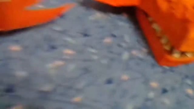 моя доделаная голова фокси смотреть онлайн