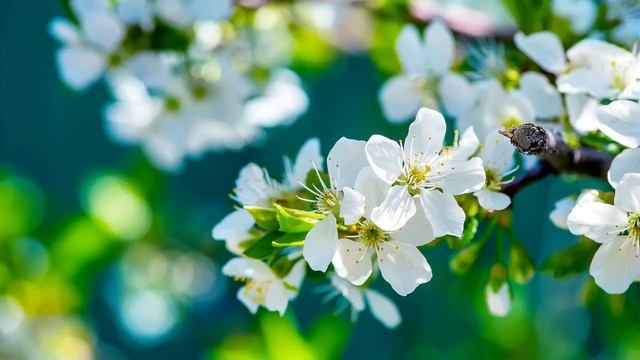 Главная практика мая 2025 смотреть онлайн