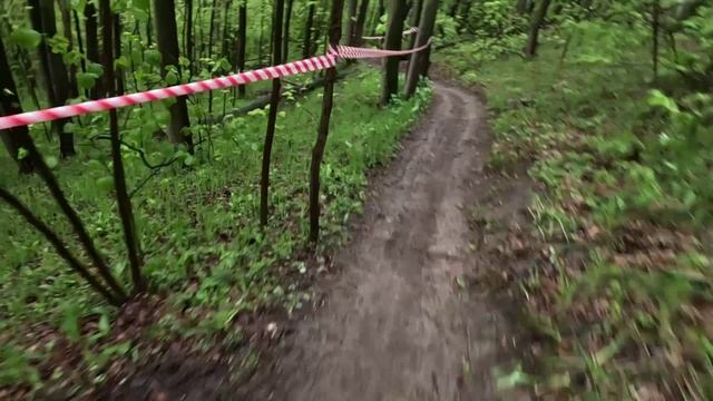 Поймал дерево смотреть онлайн