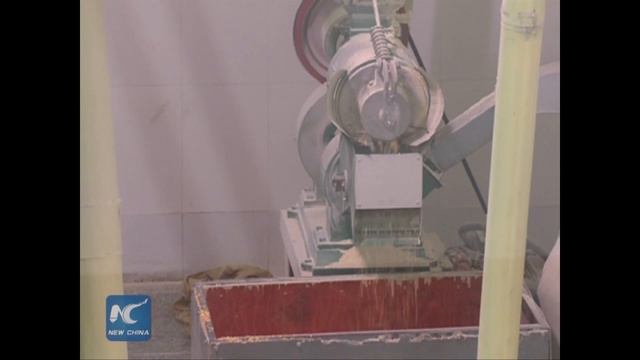 Inside corn processing factory in DPRK смотреть онлайн