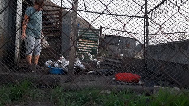 Не нужна любовь такая!! Баранья нежность.. смотреть онлайн