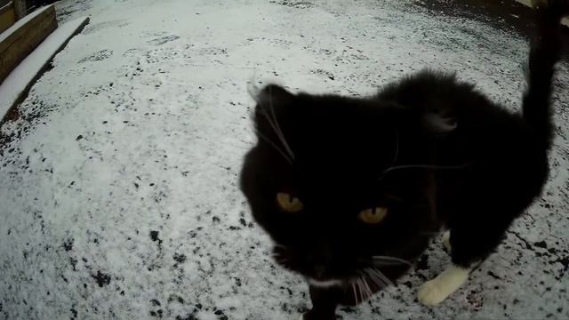 Вот и снег выпал смотреть онлайн