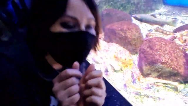 Гуляем по Москвариуму на ВДНХ, смотрим рыбов! смотреть онлайн