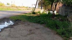 Тепловоз 2ТЭ10М с пассажирским поездом