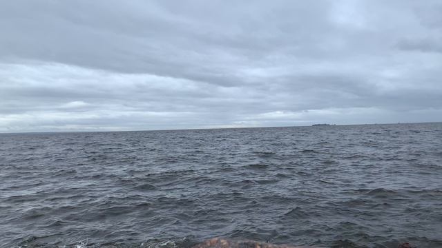 Финский залив 29.04.2025 смотреть онлайн