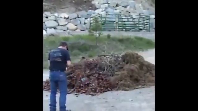 СМЕШНЫЕ ВИДЕО приколы ПОДБОРКА приколов Best collection joke Басков спел На ЛАБУТЕНАХ! смотреть онлайн