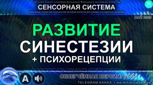 🌀 СИНЕСТЕЗИЯ: Мир Без Границ! 🌈 Гармония Звука, Цвета и Эмоций | Развитие Мозга + Творчество