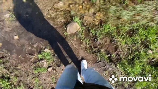 Медовая тропа смотреть онлайн