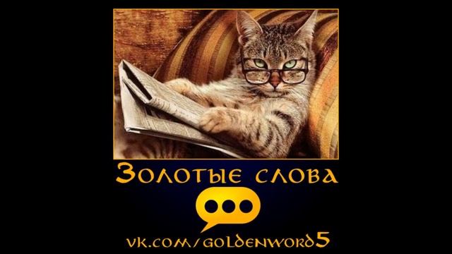 прикольные демотиваторы скачать смотреть онлайн