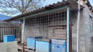 ПЕРВЫЙ РОЙ 2025